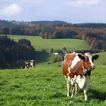 Baschijoergenhof *