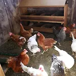 Gospodarstwo agroturystyczne Baschijoergenhof *