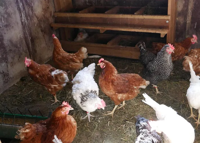 Baschijoergenhof Sankt Peter