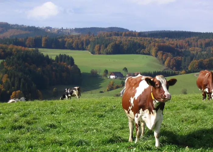 Vakantieboerderij Baschijoergenhof Sankt Peter