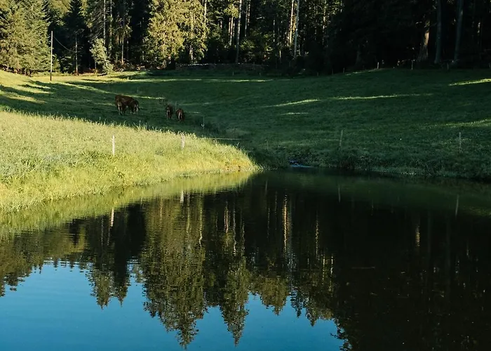 Vakantieboerderij Baschijoergenhof *